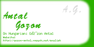 antal gozon business card